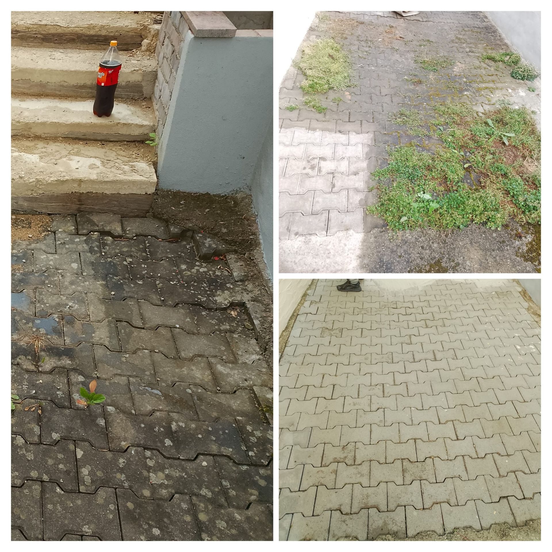 Drei Bilder zeigen eine mit Unkraut bewachsene Betonplatte. Ein Bild zeigt die Platte nach der Reinigung.