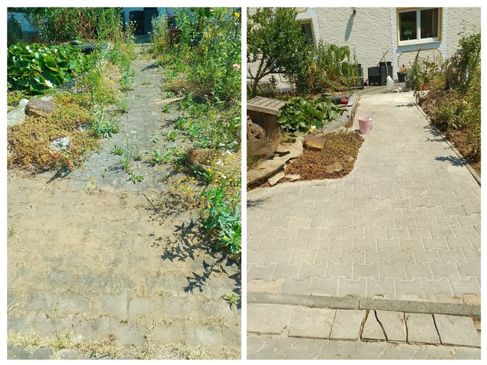 Vorher- und Nachher-Ansicht eines Gehwegs, der von Unkraut befreit und gepflastert wurde. Pflanzen säumen den Weg.