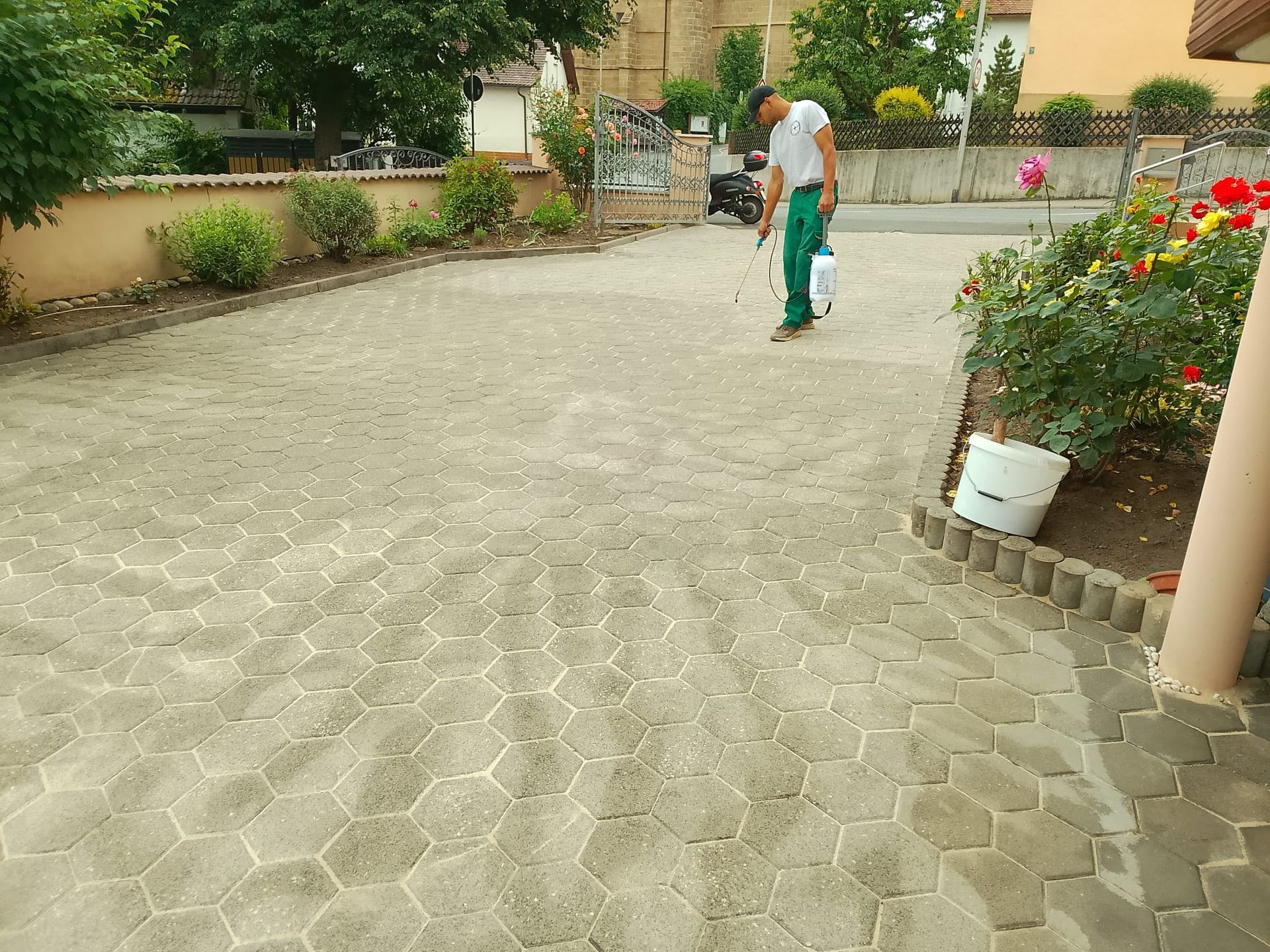 Ein Mann besprüht den Gehweg einer Einfahrt; daneben steht ein Eimer, und am Rand stehen Rosen.