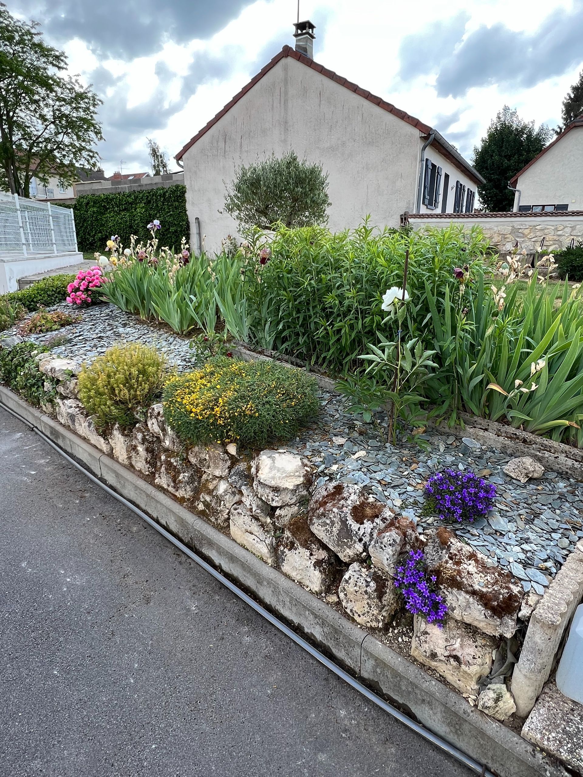 Un jardin avec des fleurs et des rochers le long de la route à côté d'une maison.