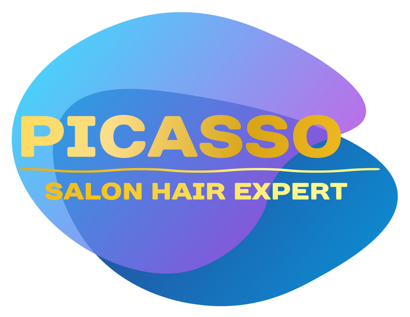 Un logotipo azul y morado para Picasso Salon Hair Expert.