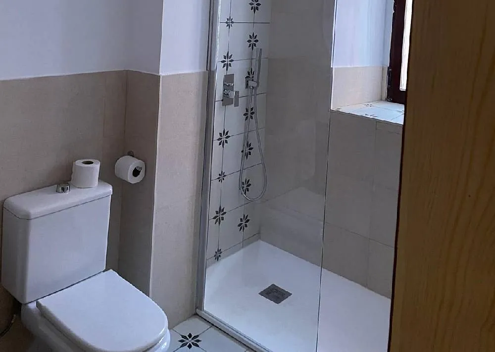 Un baño con inodoro y ducha a ras de suelo.