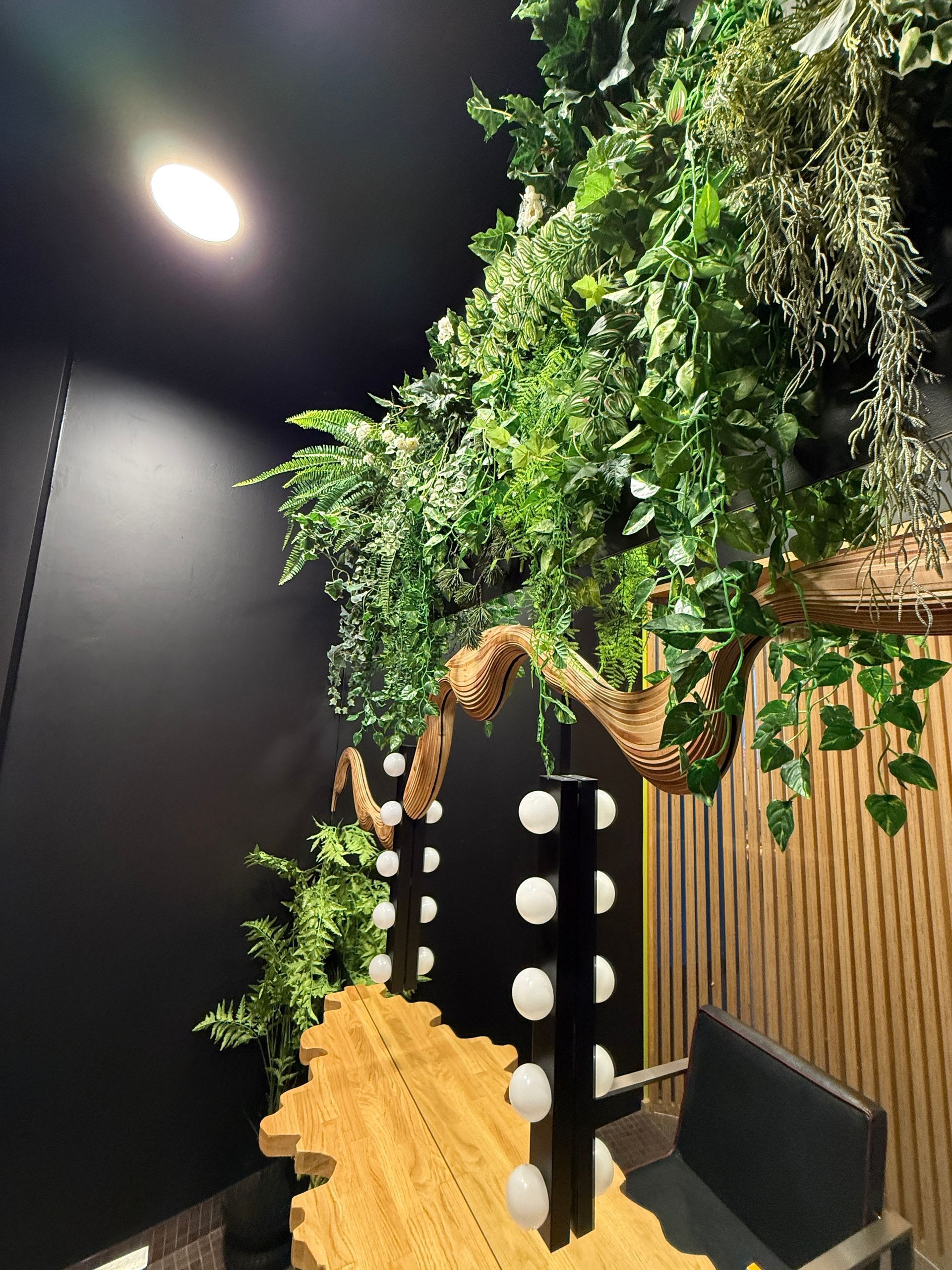 Salon intérieur avec une tablette en bois, des chaises noire et une végétation suspendue contre des murs sombres