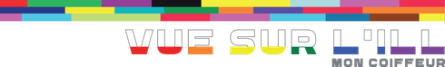 Logo VUE SUR L'ILL