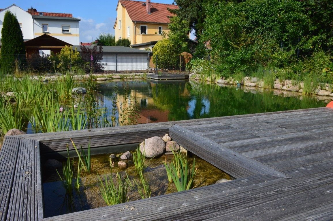 Amphibienausstieg für Filterbereich