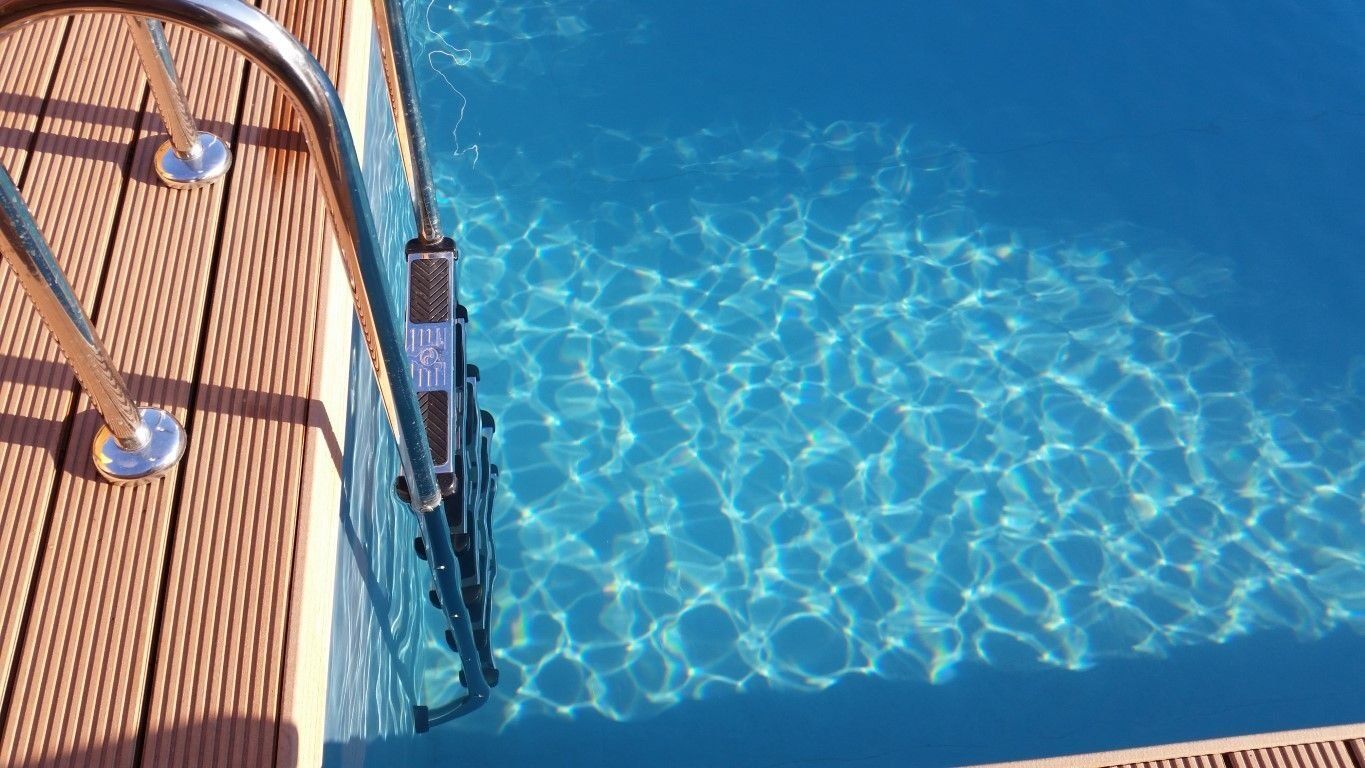 Naturpool mit Badeleiter