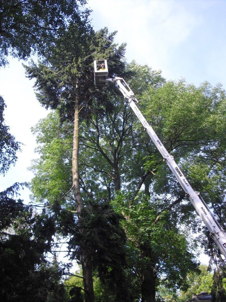 Baumarbeiten mit Hublift