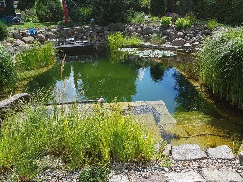 Mittelgroßer Schwimmteich mit Natursteintreppe