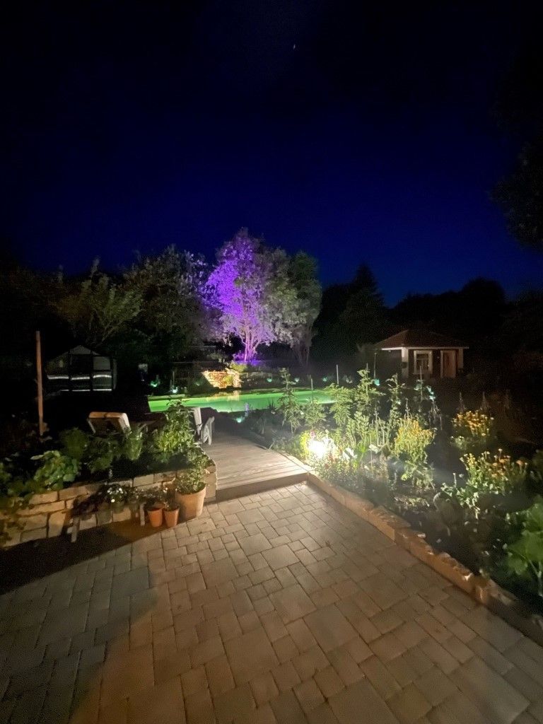 Garten bei Nacht