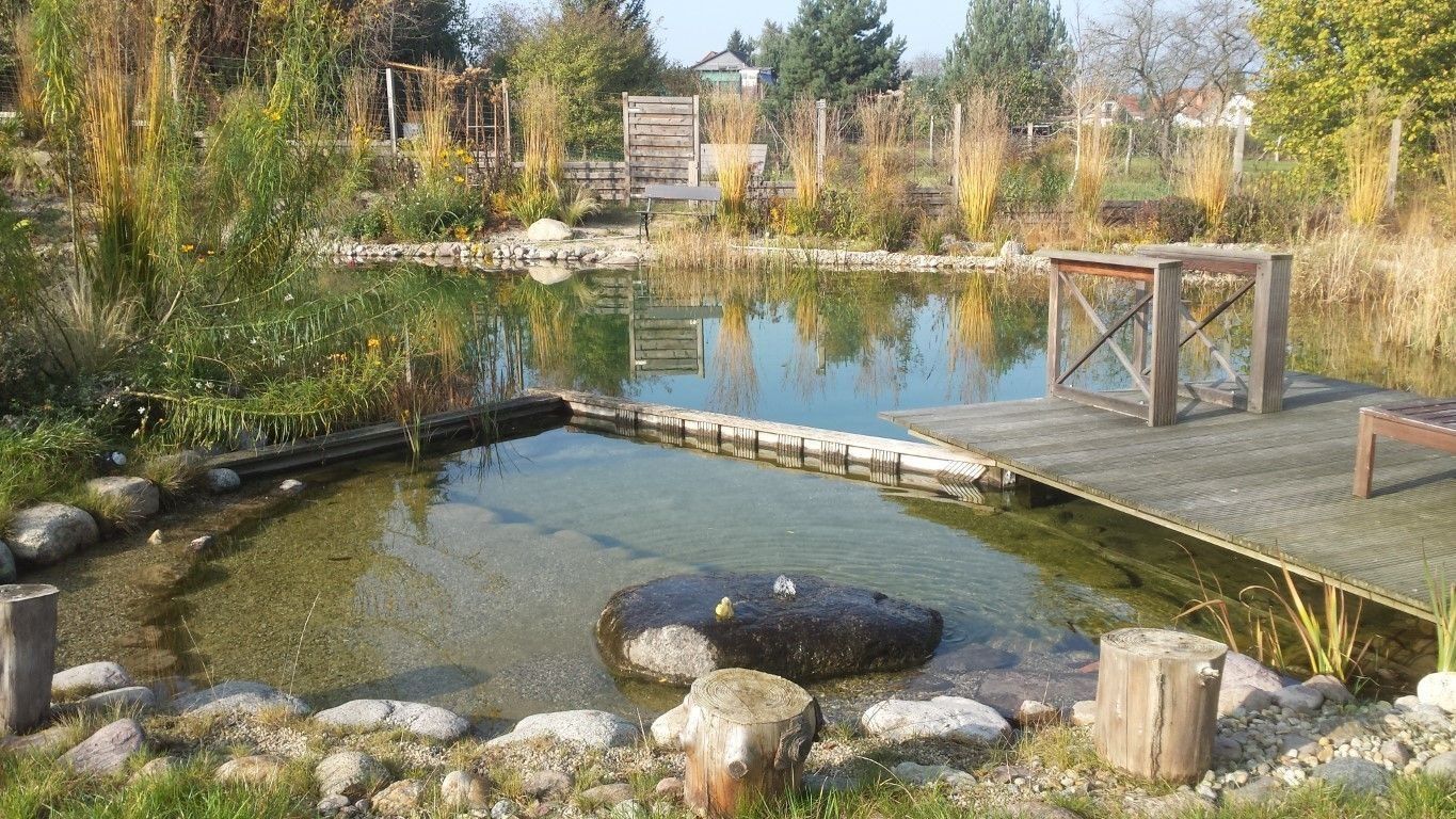 Mittelgroßer Schwimmteich mit Kinderbereich