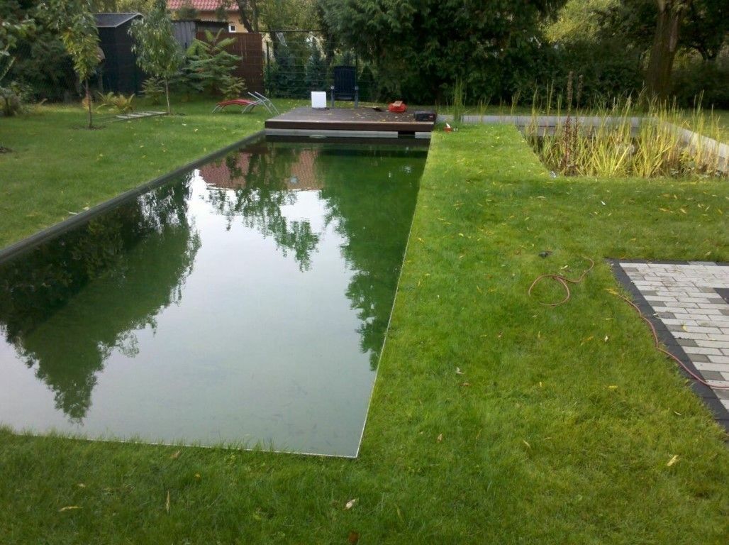 Naturpool mit Filterbecken im Garten