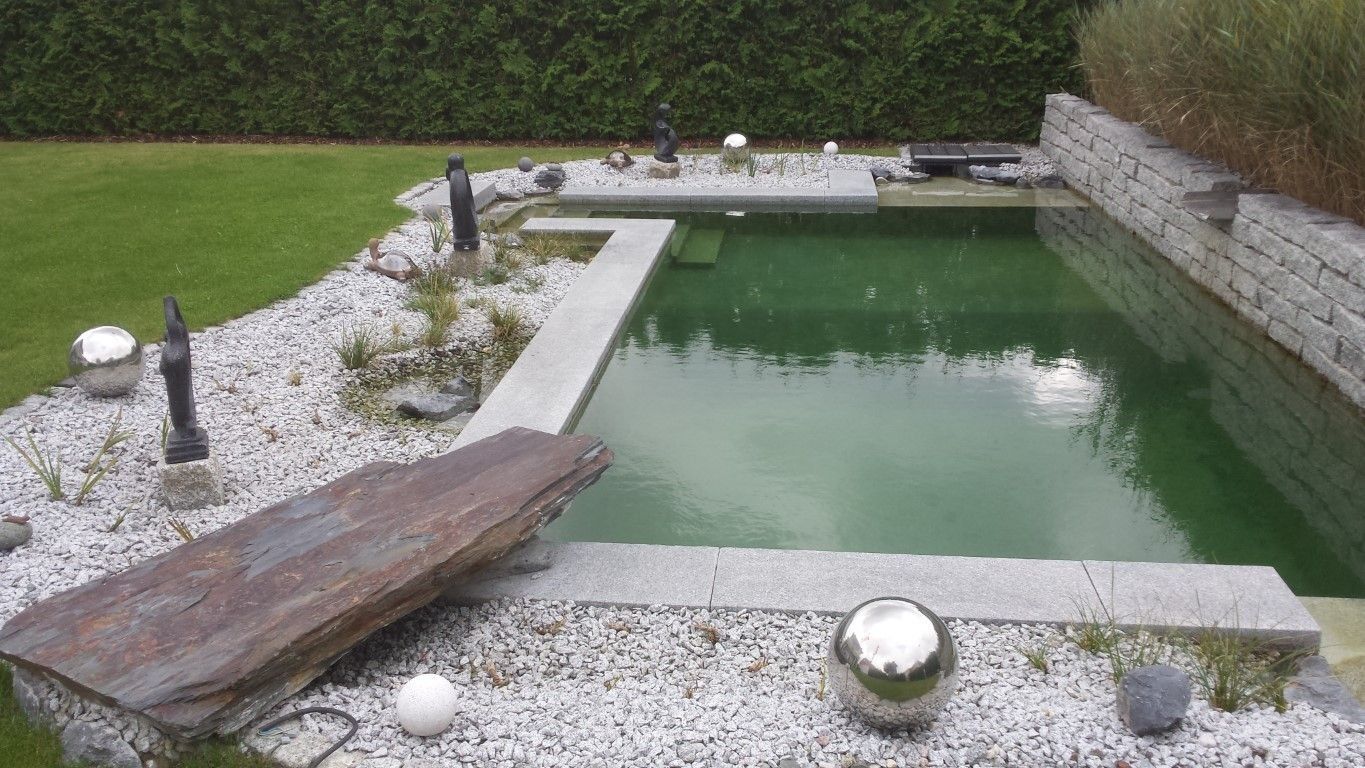Naturpool mit Sprungstein im Garten