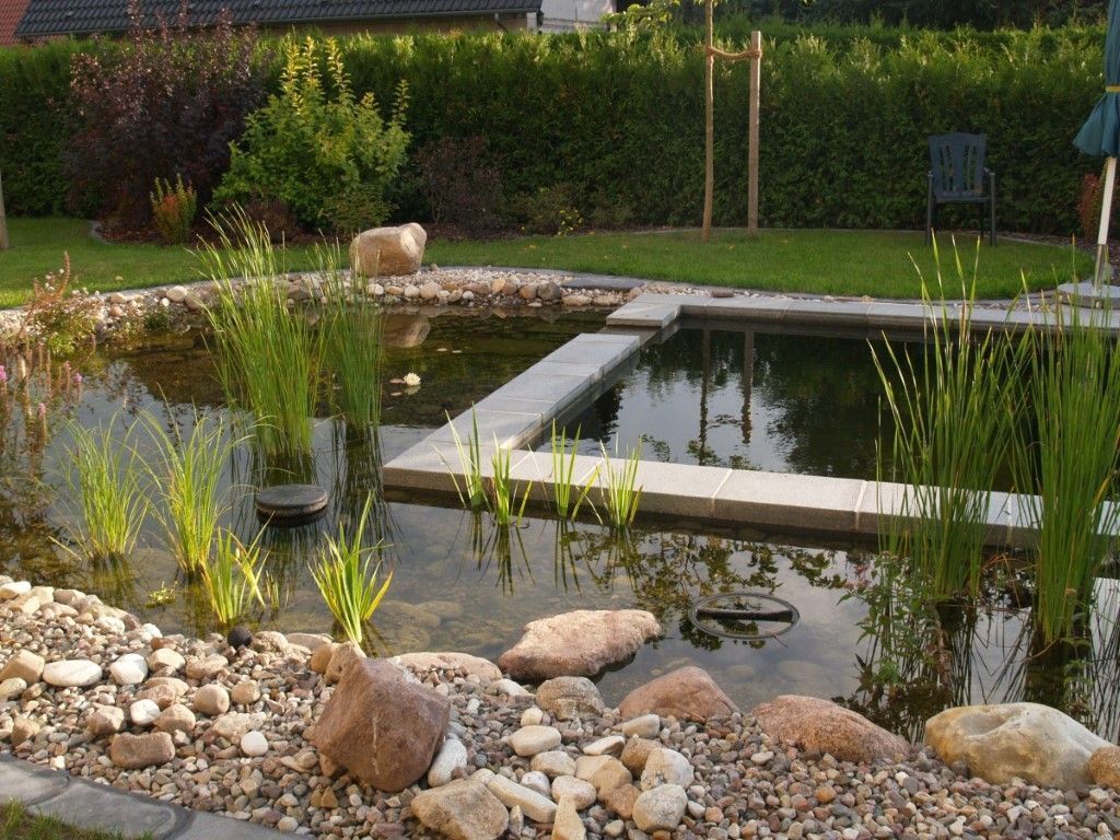 Naturpool mit Teichumrandung