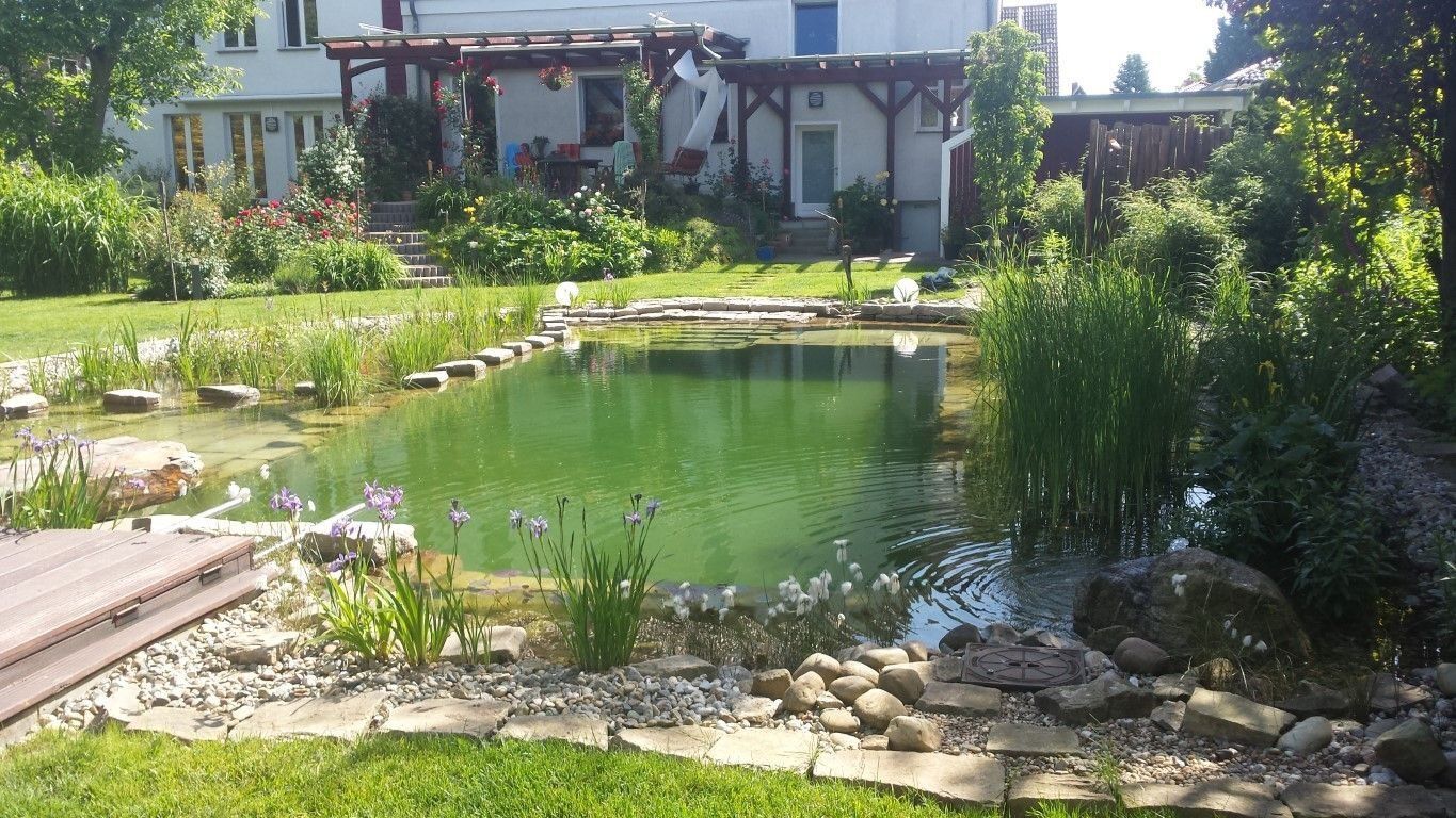 Mittelgroßer Schwimmteich