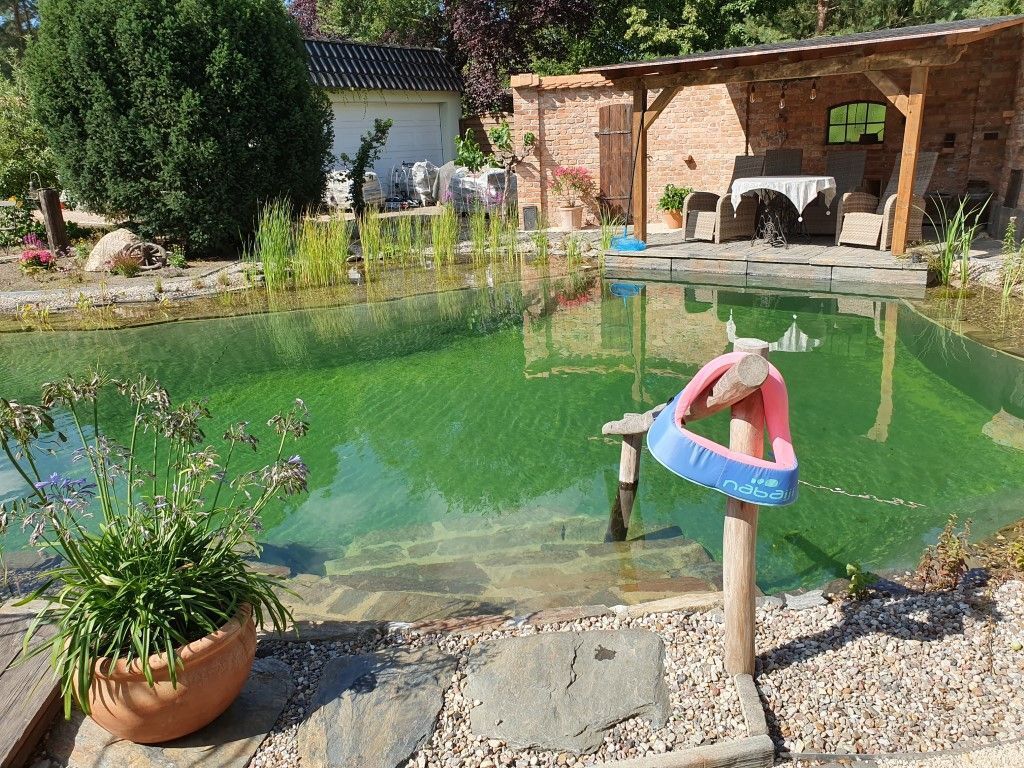 Mittelgroßer Schwimmteich mit Handlauf