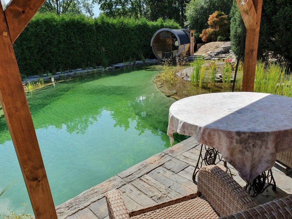 Mittelgroßer und erdmodellierter Schwimmteich