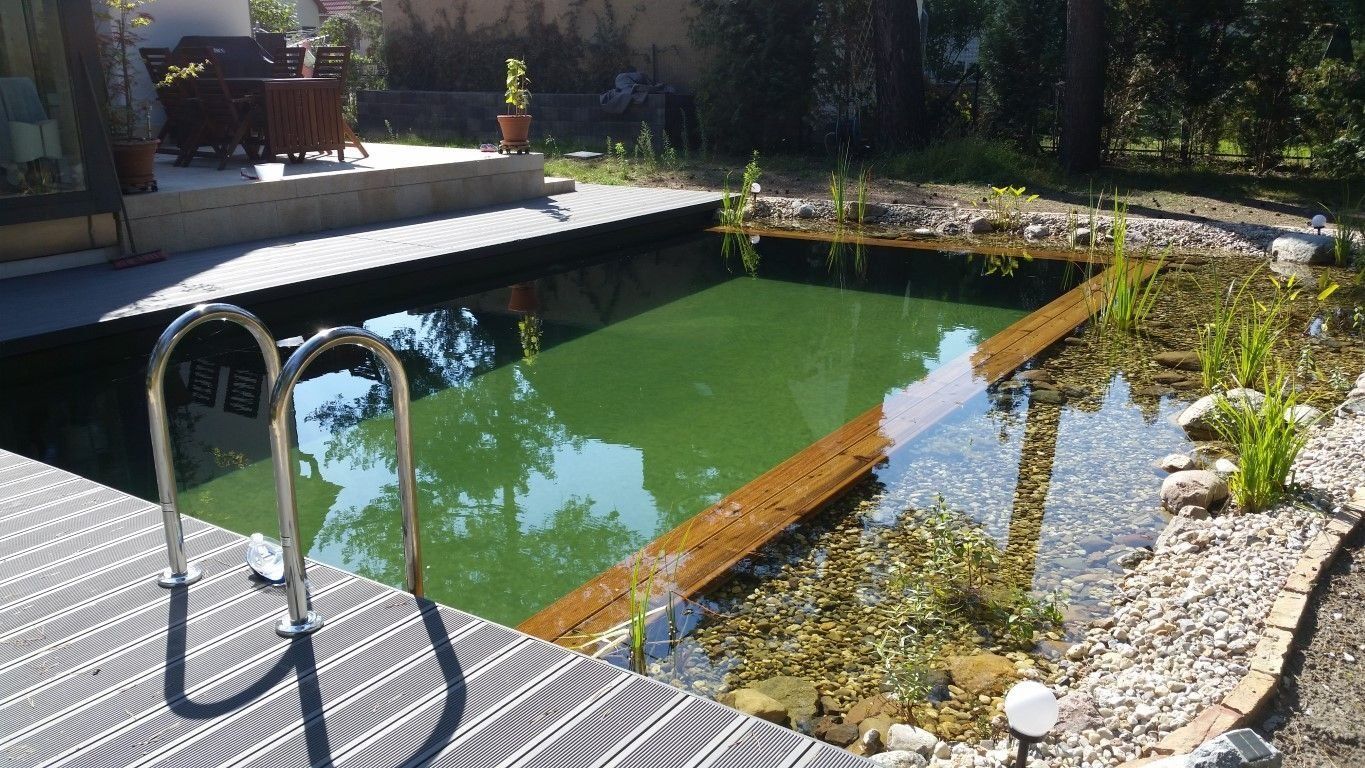 Mittelgroßer Schwimmteich mit Einstiegsleiter