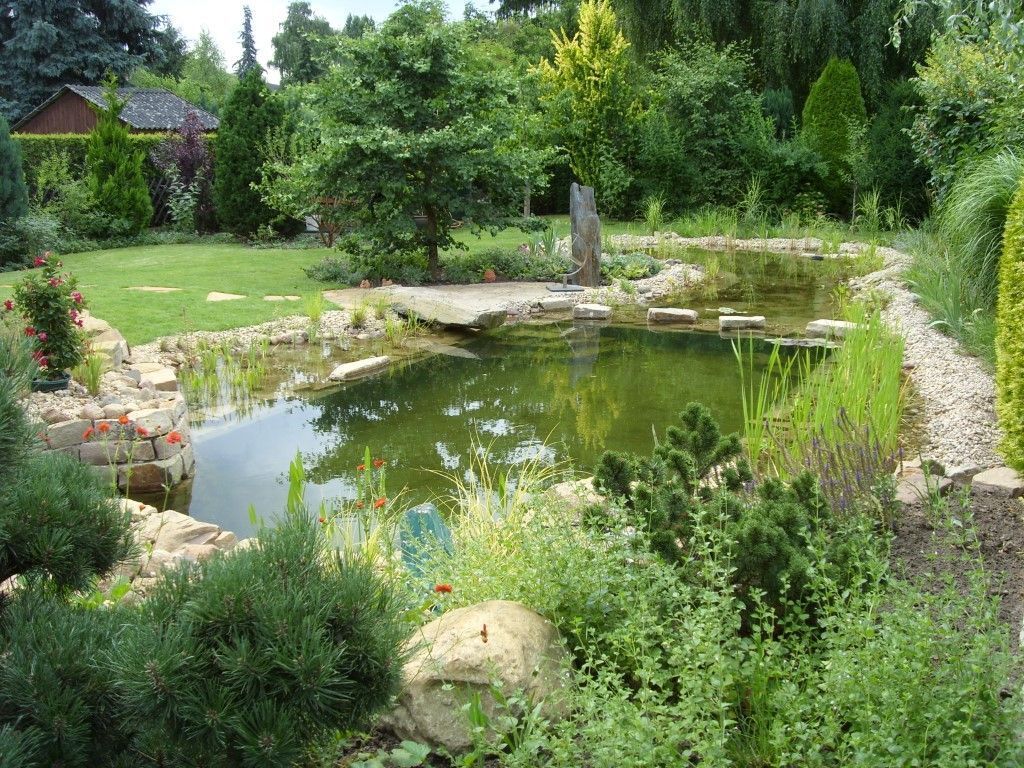 Mittelgroßer Schwimmteich im Garten