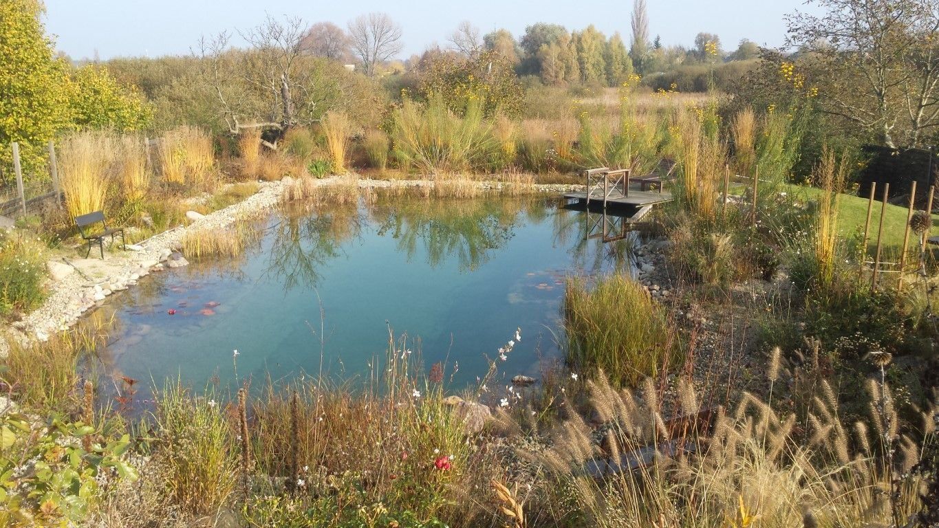 Mittelgroßer Schwimmteich im Herbst