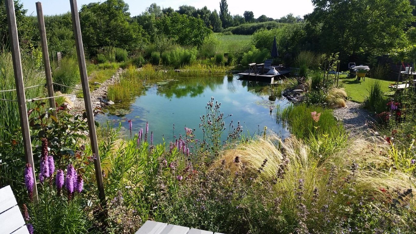 Mittelgroßer Schwimmteich im Sommer