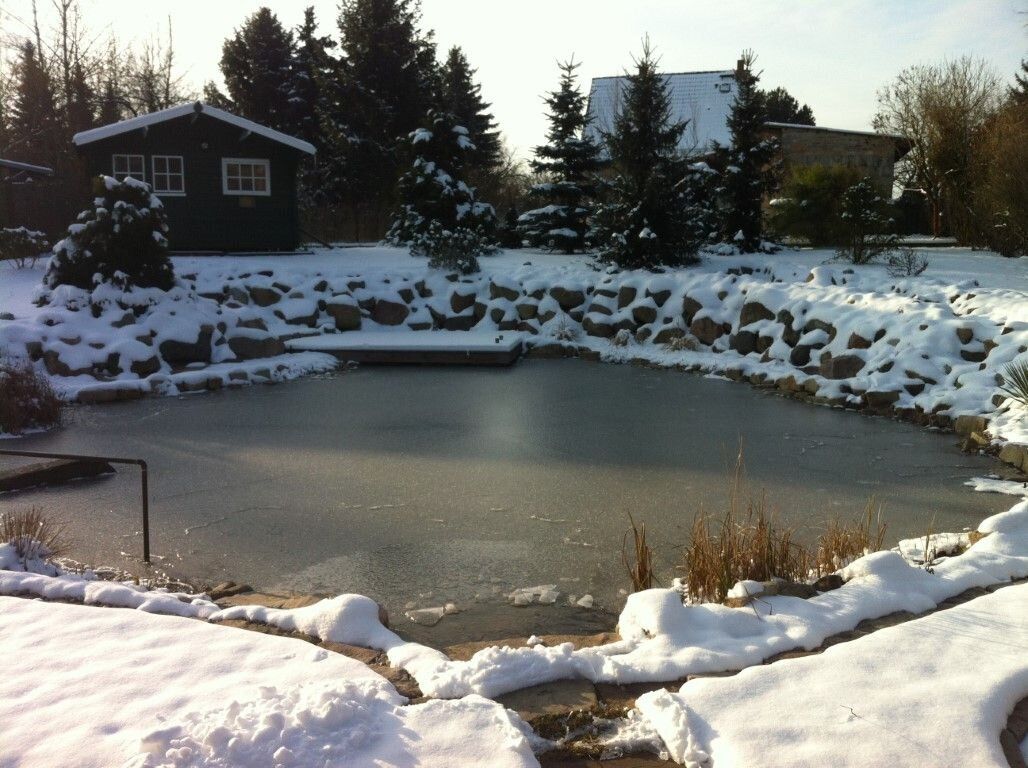 Mittelgroßer Schwimmteich im Winter