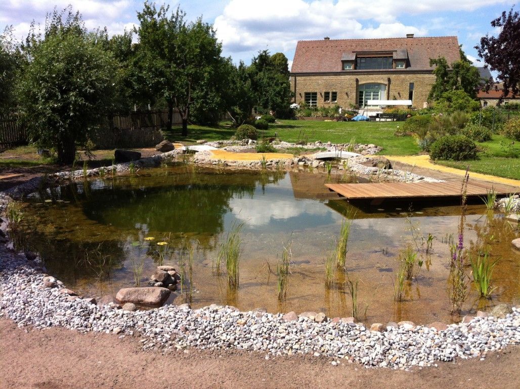 Mittelgroßer Schwimmteich als Parkanlage