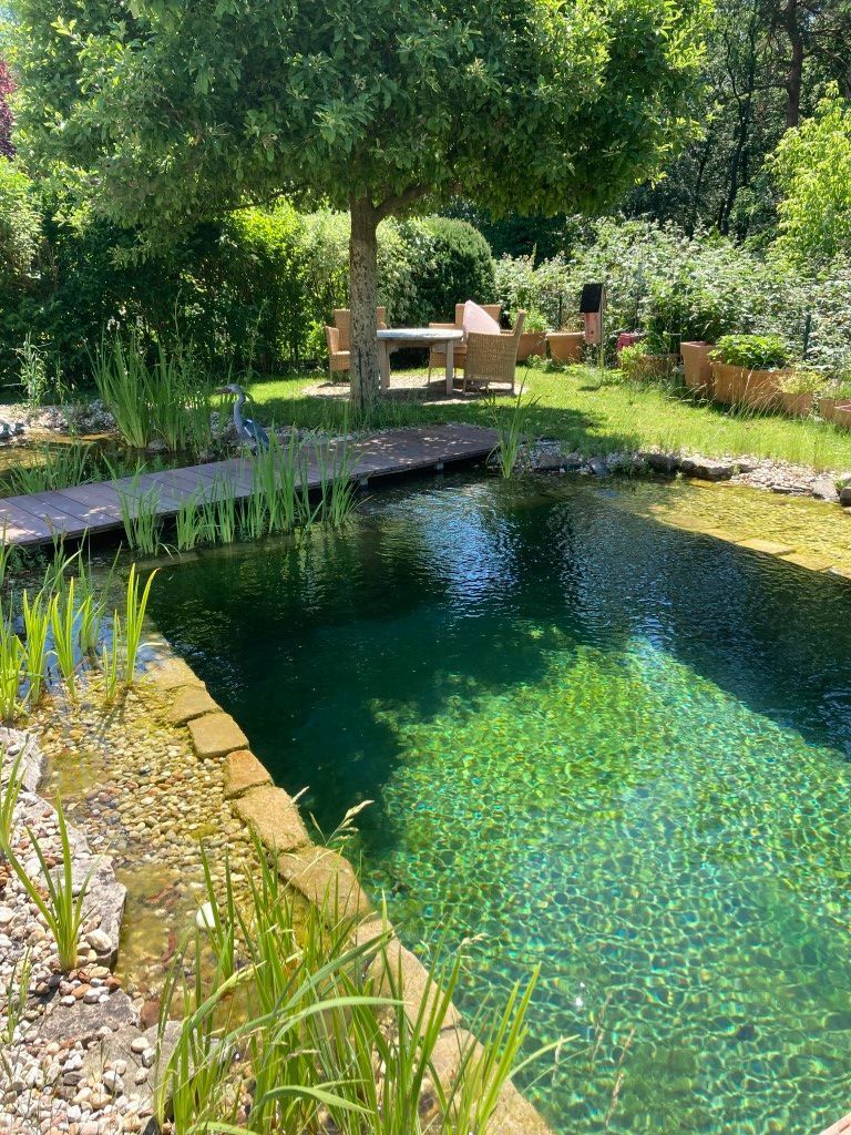 Schwimmteich mit kleiner Terrasse