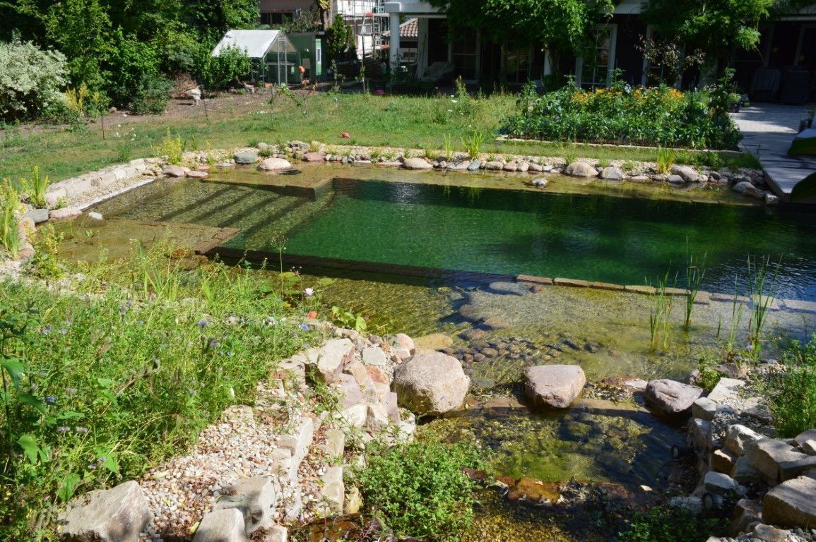Schwimmteich mit Bachlauf