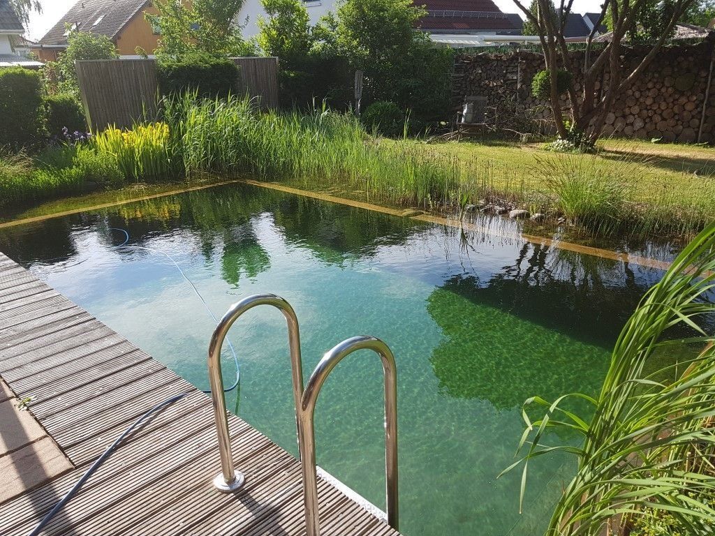 Mittelgroßer Schwimmteich mit Badeleiter