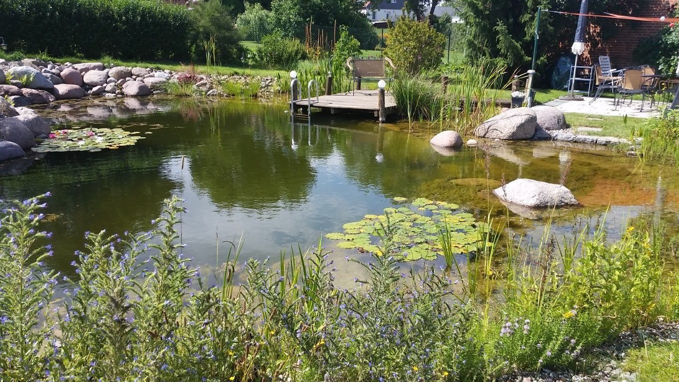 Mittelgroßer Schwimmteich mit Natureinstieg