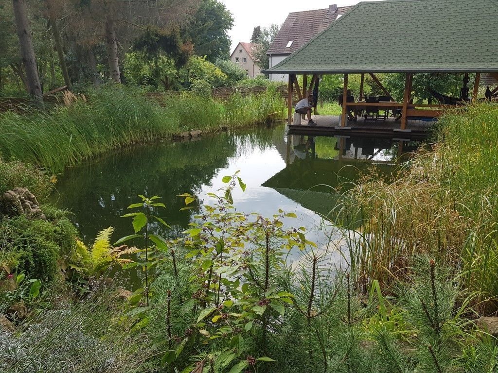 Mittelgroßer Schwimmteich mit Pavillon