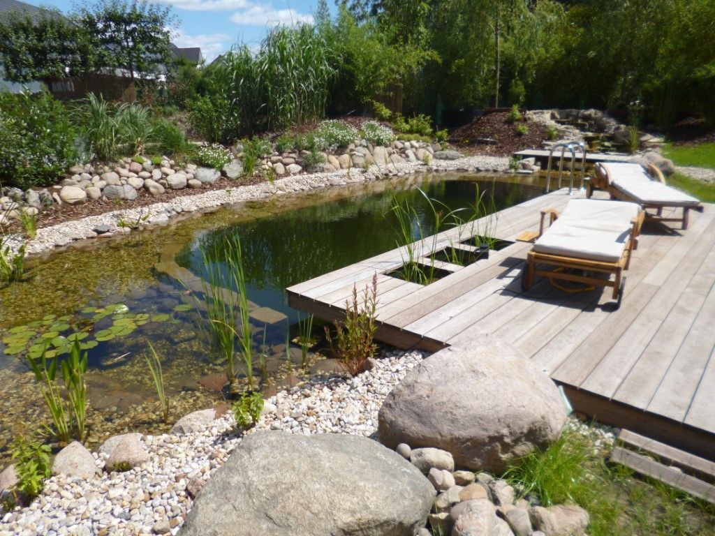 Schwimmteich mit Pflanzenzonen im Holzdeck