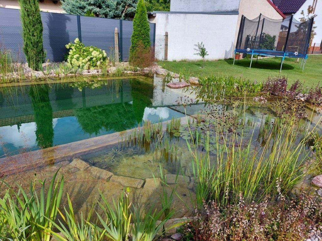 Schwimmteich mit Seerosenbereich