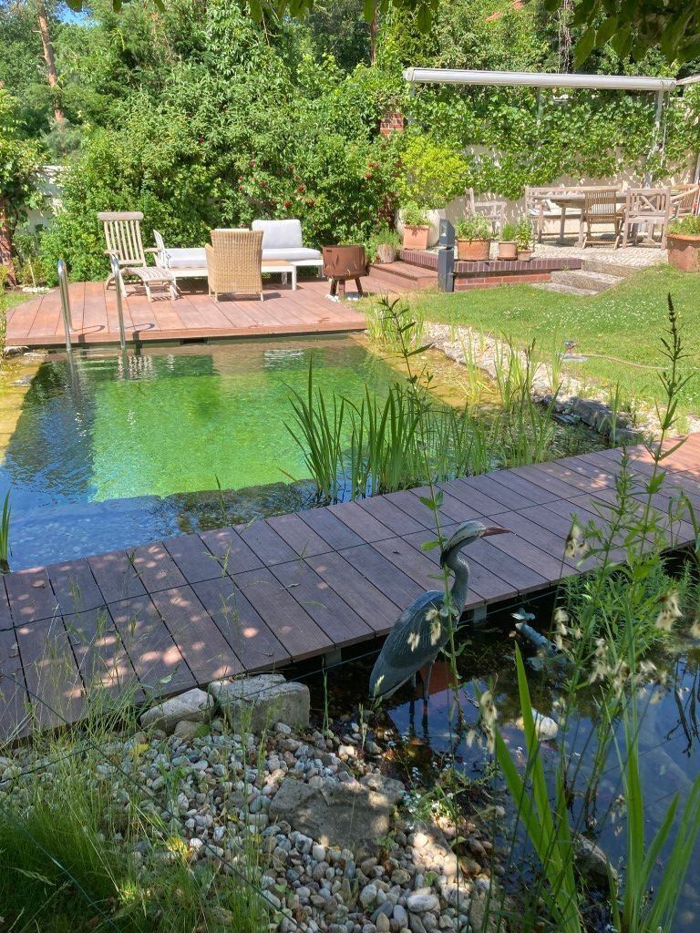 Schwimmteich mit Steg