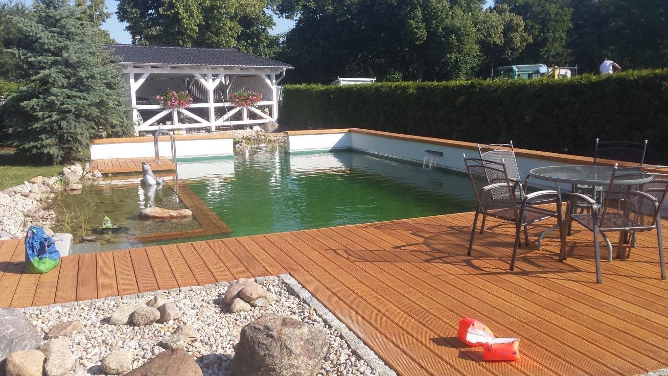 Schwimmteich mit Wasserspeier