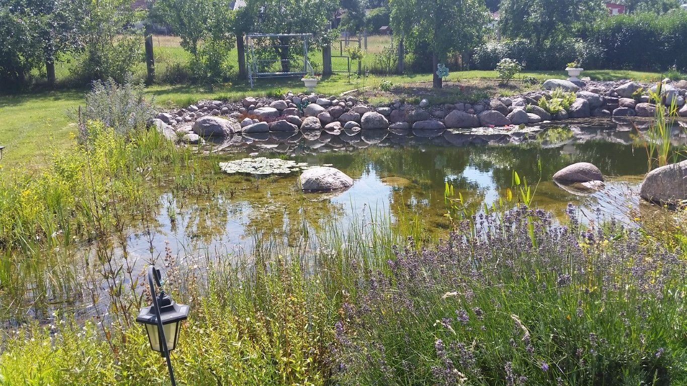 Mittelgroßer Schwimmteich ohne Technik