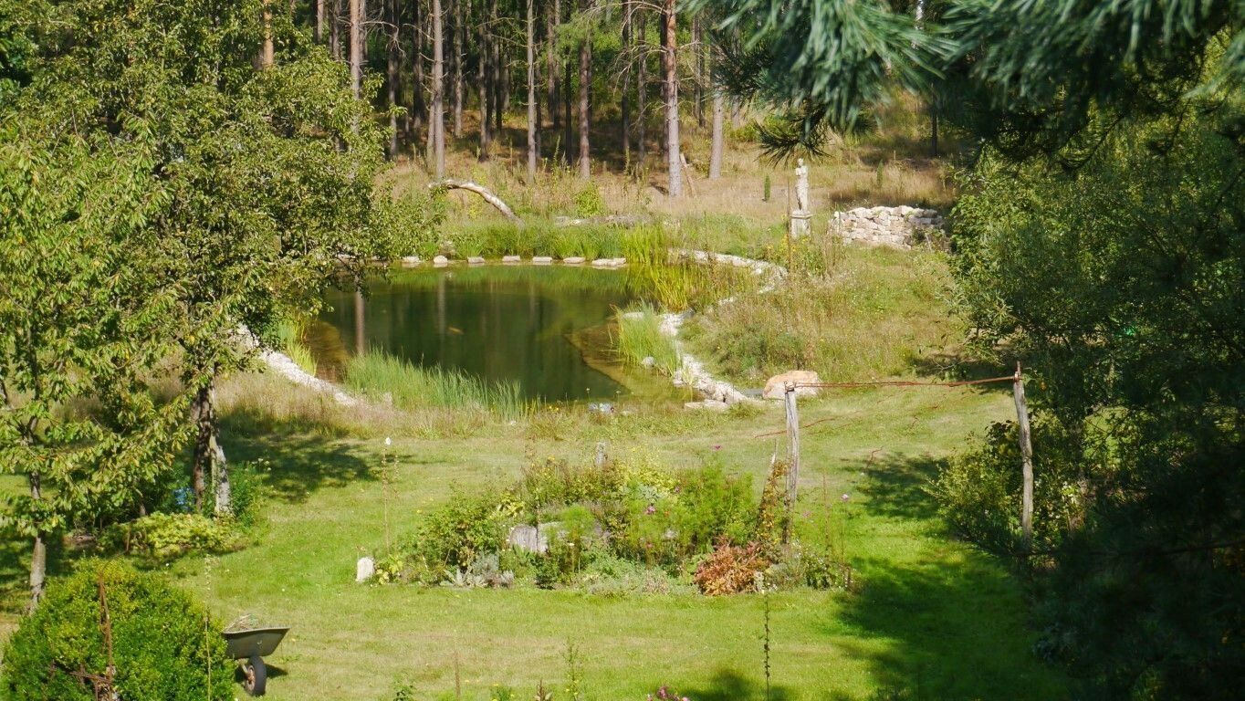 Mittelgroßer Waldsee