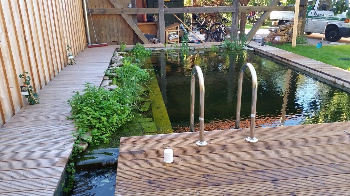 Kleiner Schwimmteich mit Einstiegsleiter