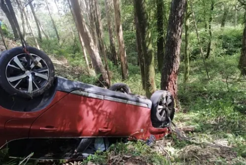 Un coche rojo volcó en el bosque.