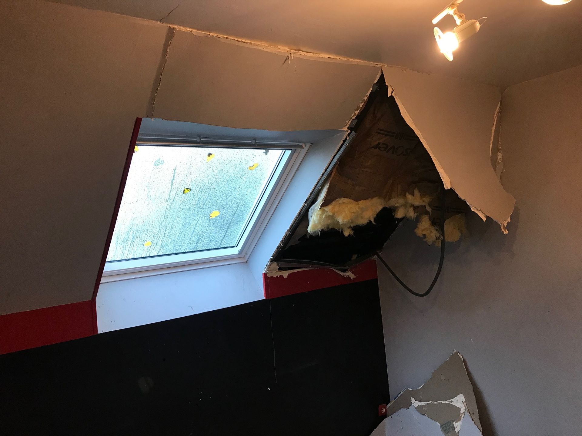 Une fenêtre de toit et des feuilles sur le vitrage