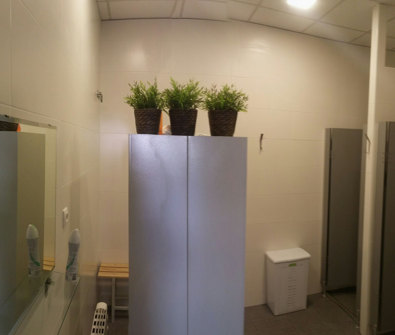 Un baño con tres plantas en macetas encima de un mueble.