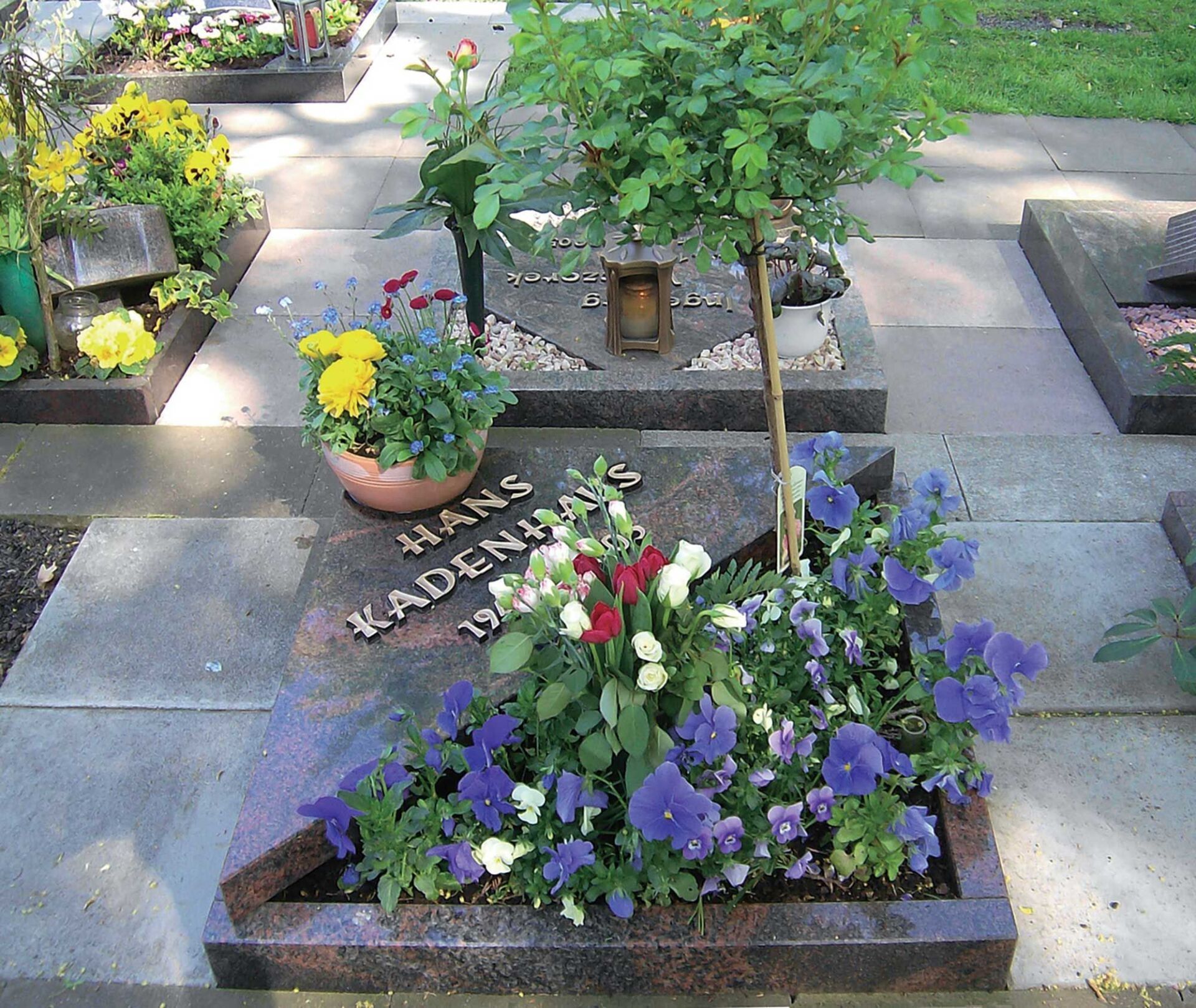 Grab mit halber dreieckiger Grabplatte und Pflanzen