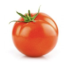 Tomate