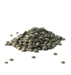 Lentille