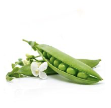 Petit pois