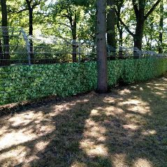 Sichtschutz von der Lahr, Gawron GmbH