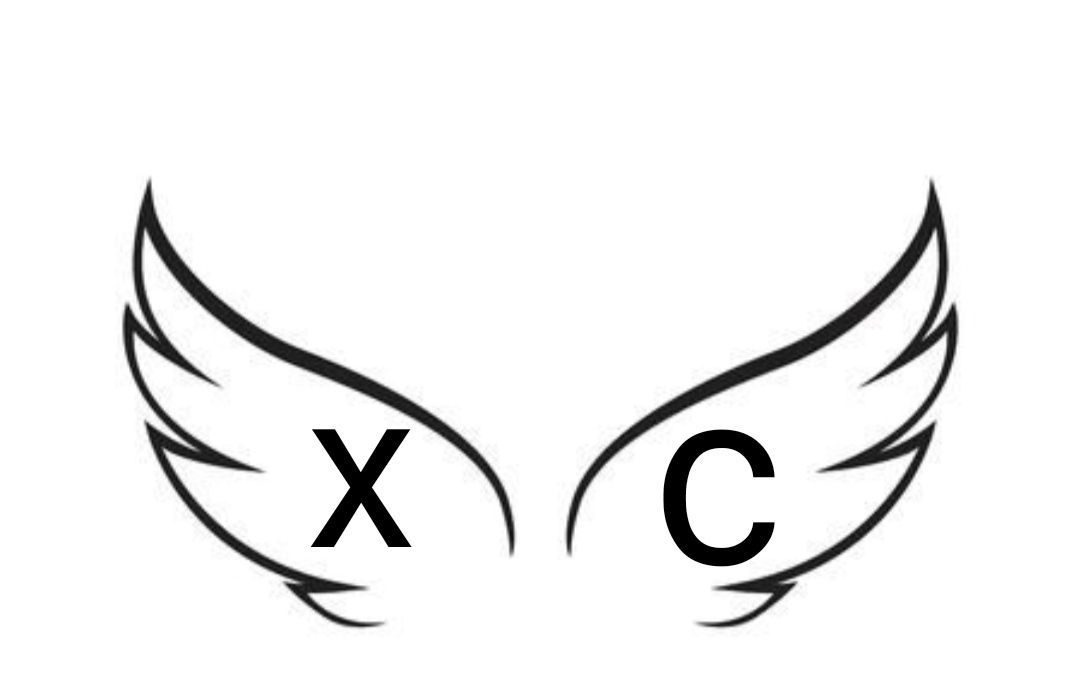 Couraud Xavier