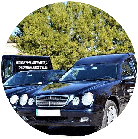 Una fila de autos negros están estacionados en un círculo con árboles en el fondo.