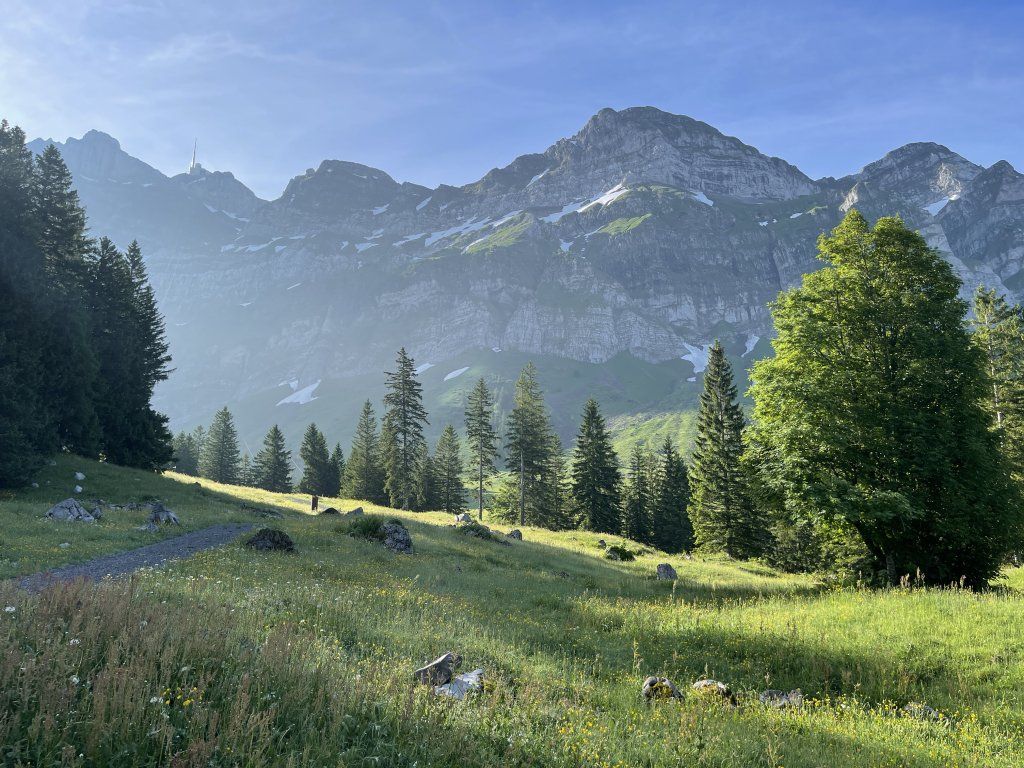PerLa PrimaVista
