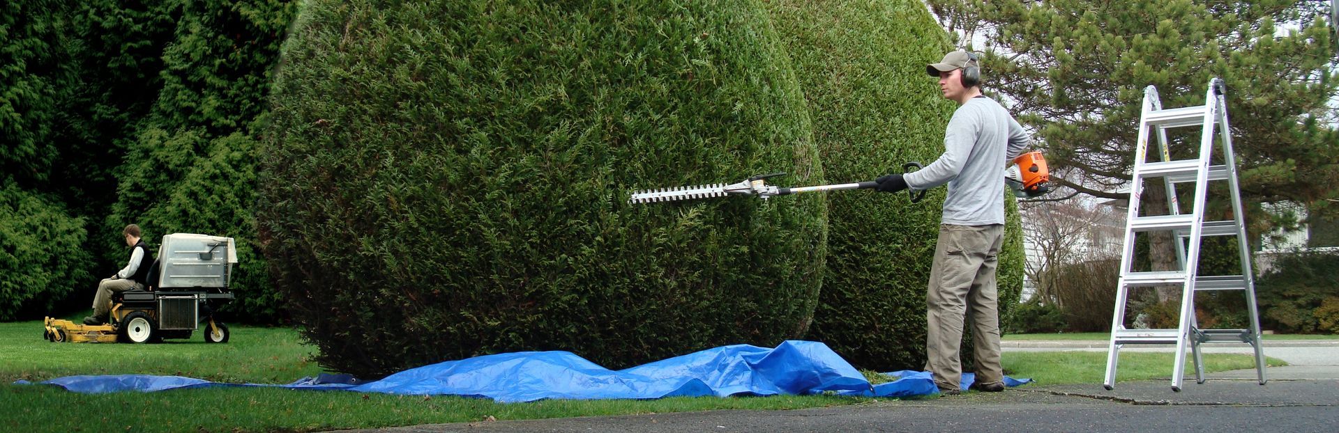Une personne utilisant un taille-haie électrique pour entretenir une haie.